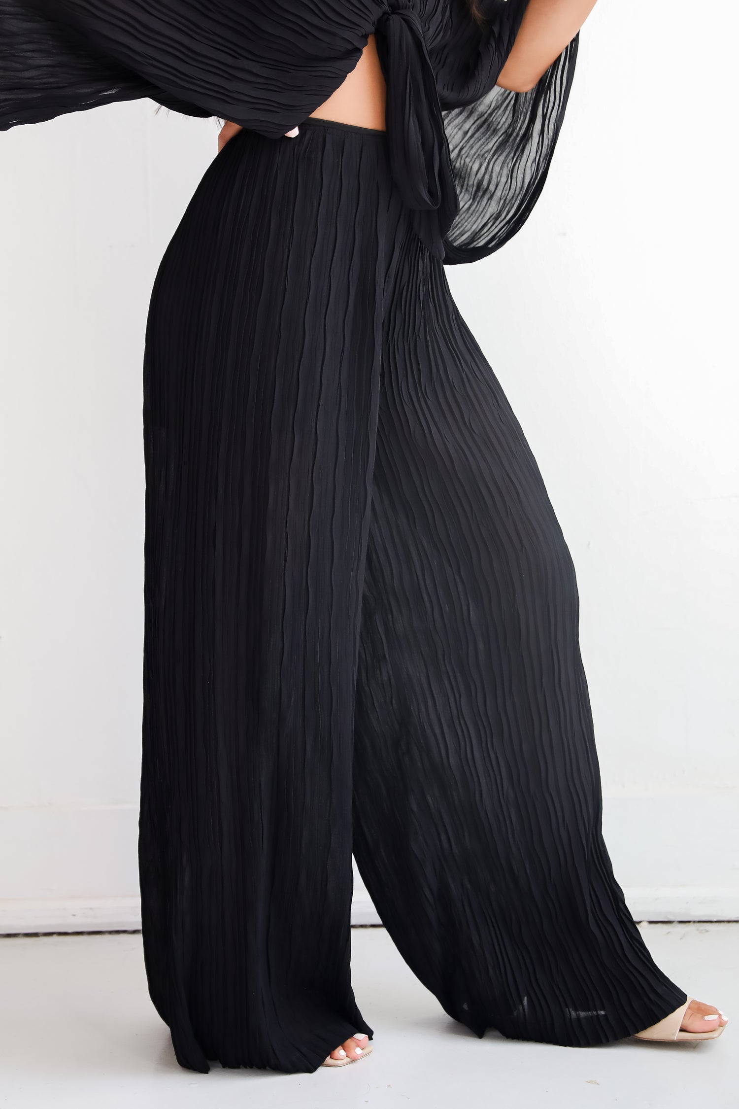 Sophisticated Step Black Pleated Wide Leg Pants