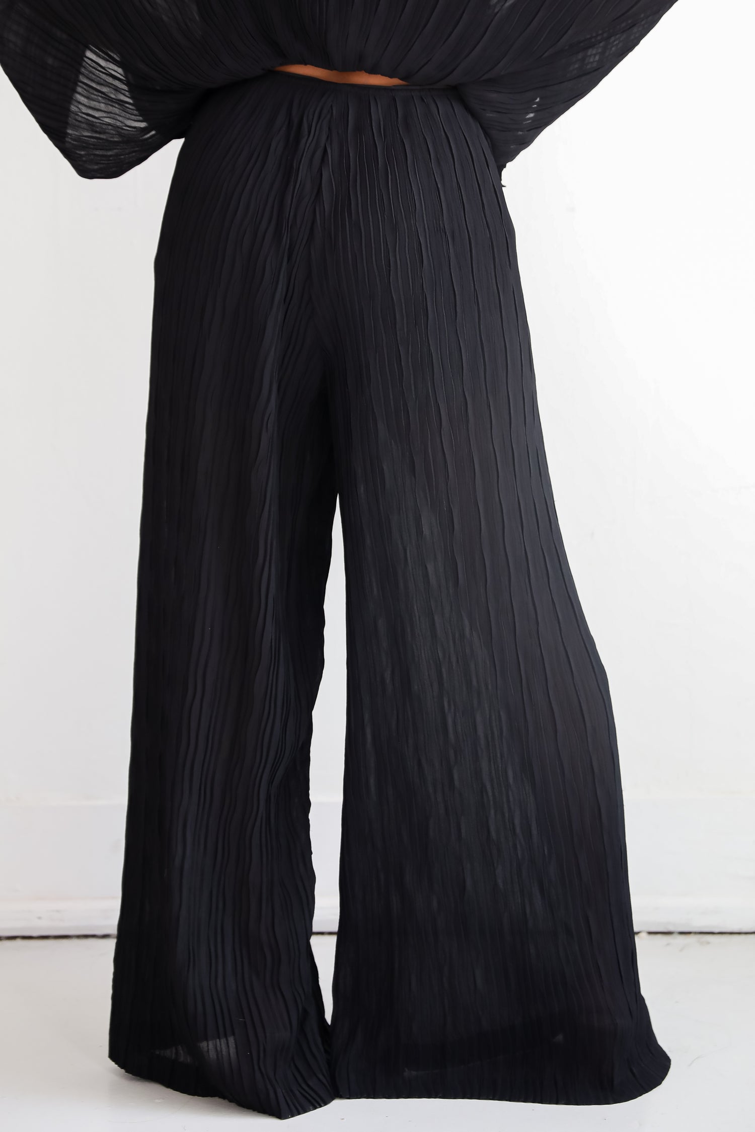 Sophisticated Step Black Pleated Wide Leg Pants