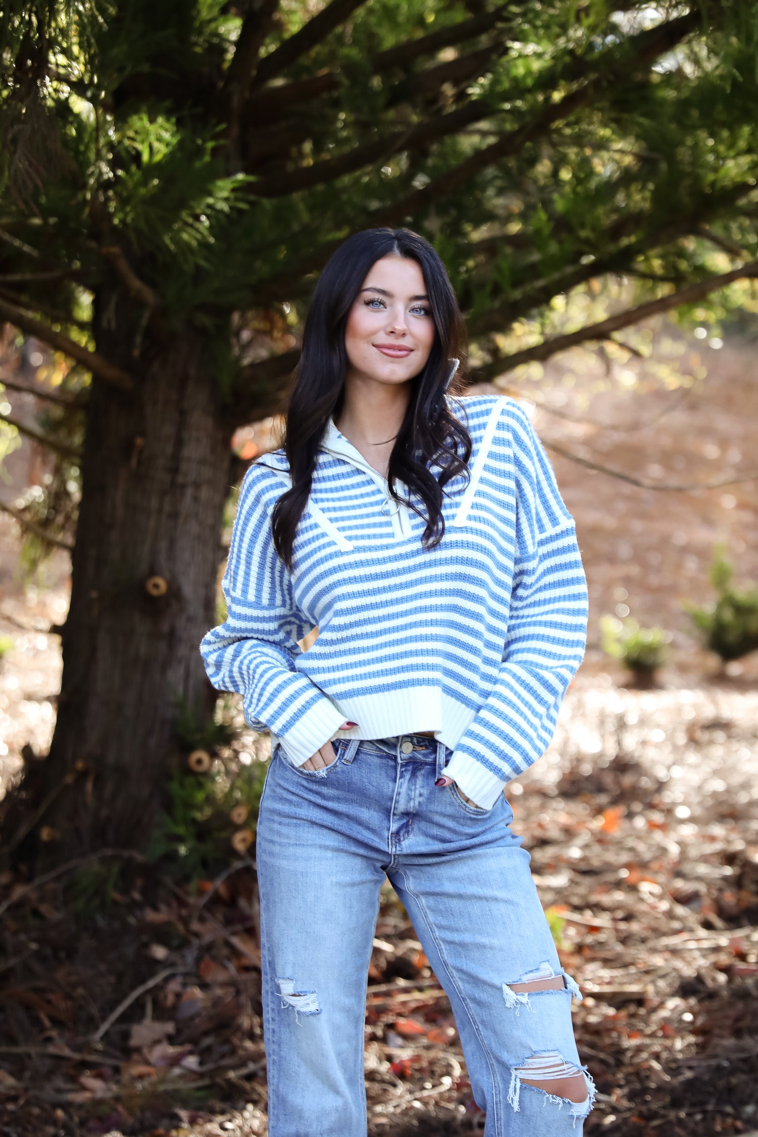 Beloved Presence Striped Quarter Zip Sweater