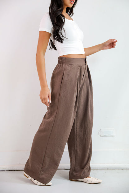 Chic Splendor Brown Trouser Pants