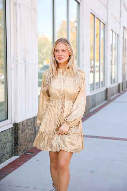 Marvelously Dazzling Taupe Metallic Mini Dress