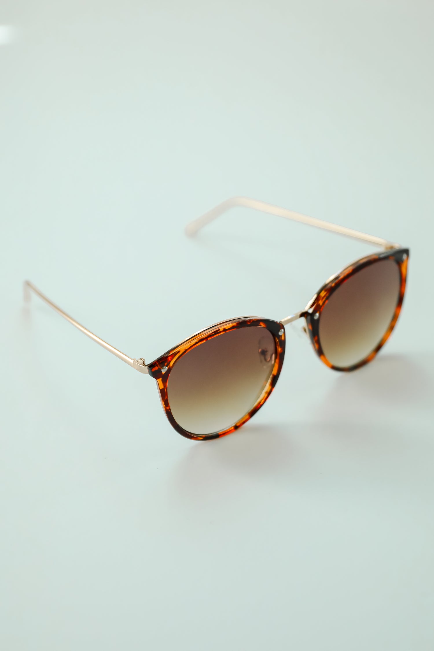 Key Largo Tortoise Round Sunglasses