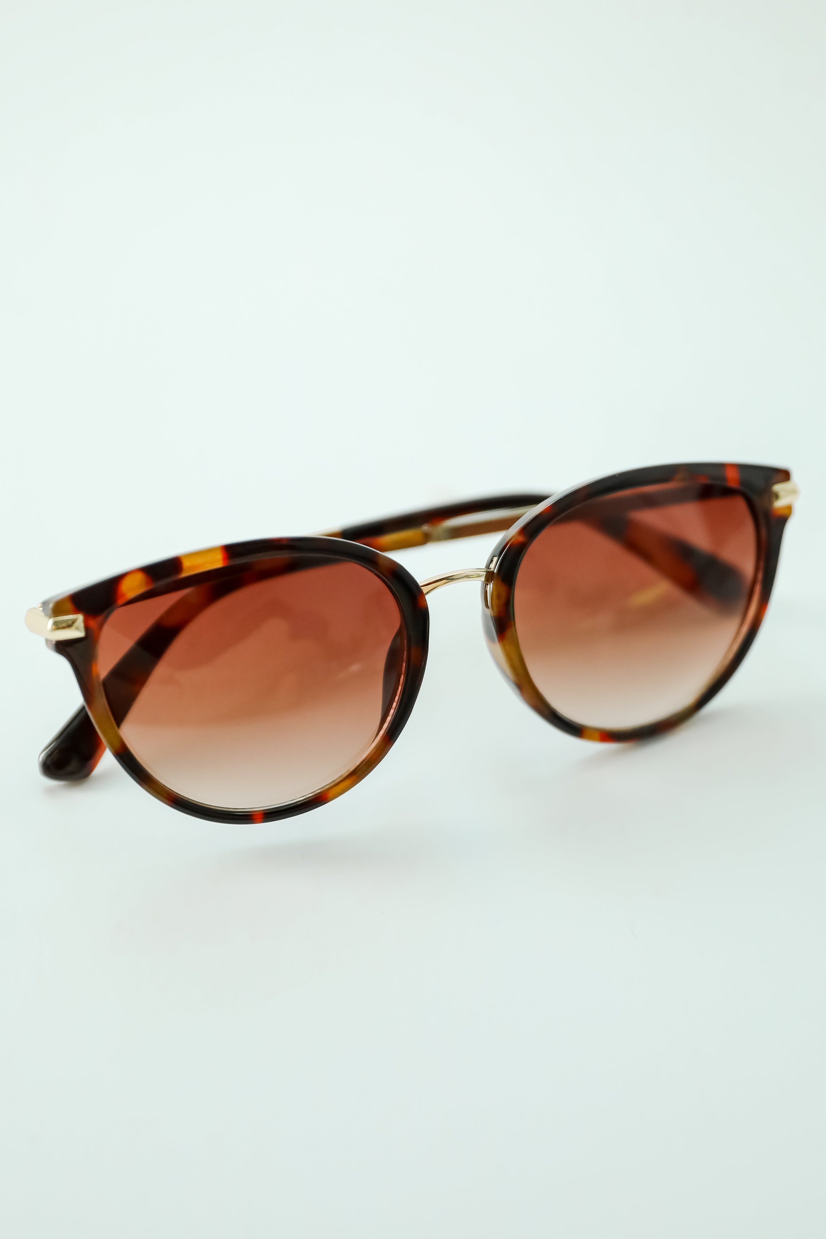 Chic Possibilities Tortoise Round Sunglasses