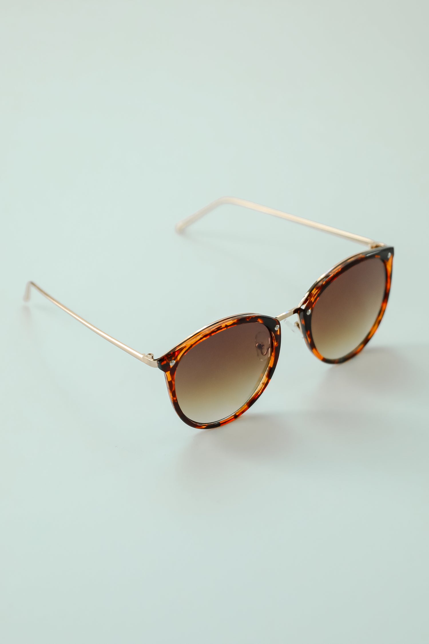 Key Largo Tortoise Round Sunglasses