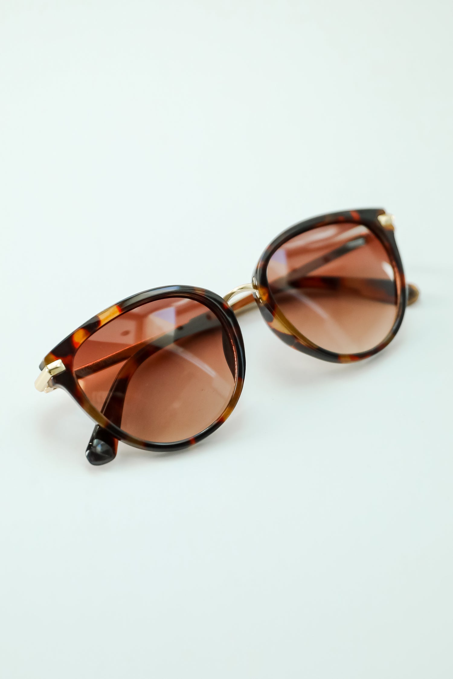 Chic Possibilities Tortoise Round Sunglasses