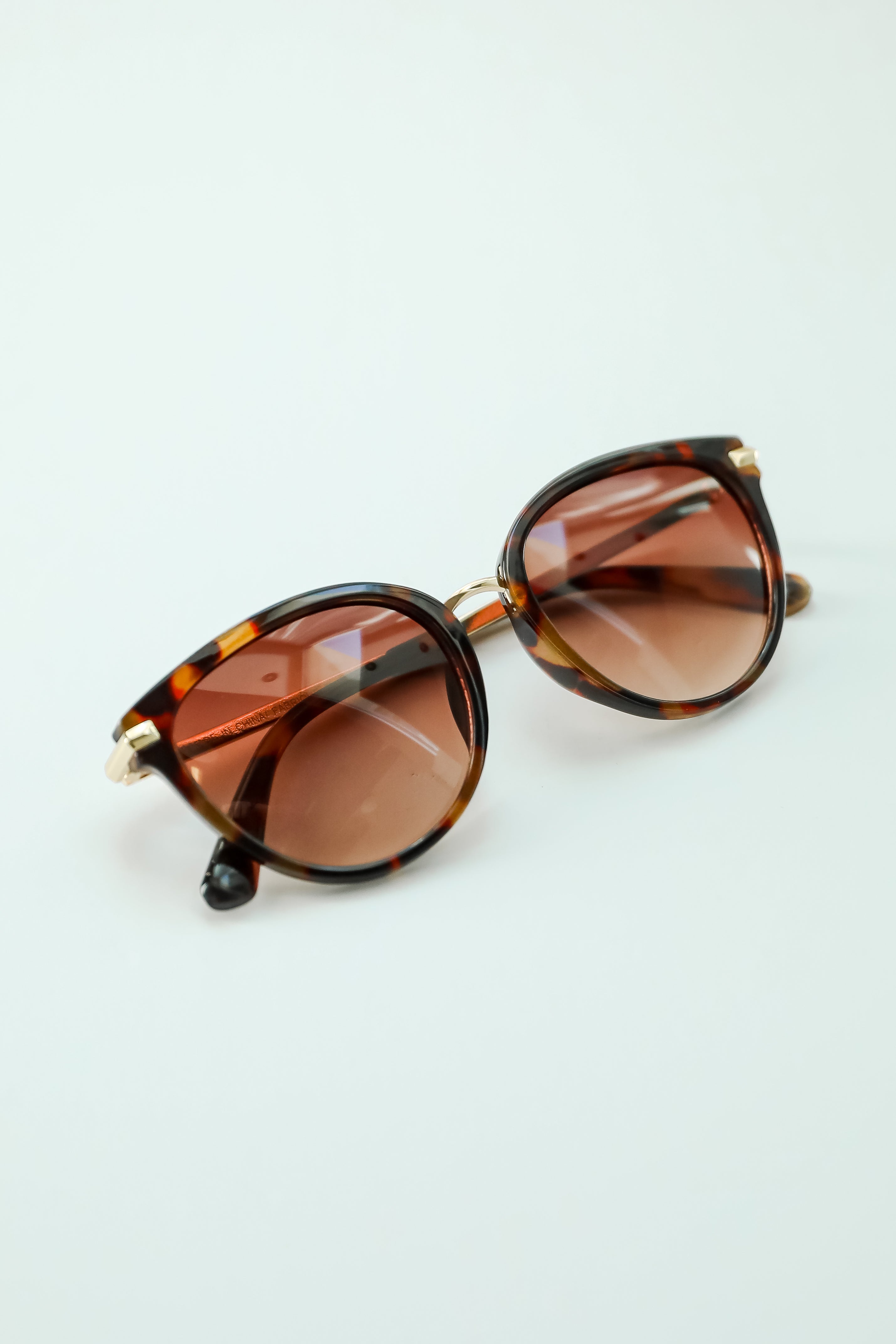 Chic Possibilities Tortoise Round Sunglasses