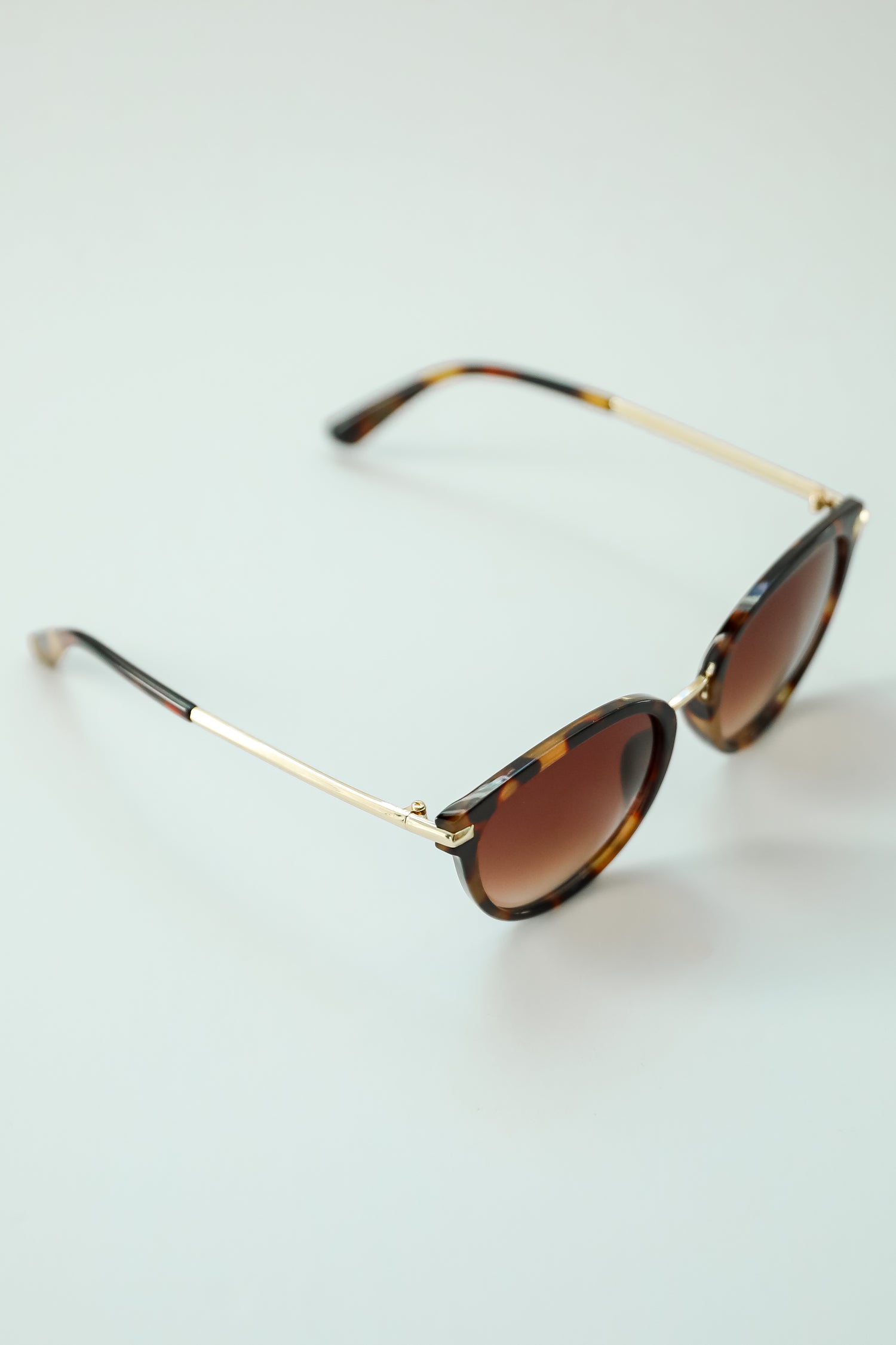 Chic Possibilities Tortoise Round Sunglasses