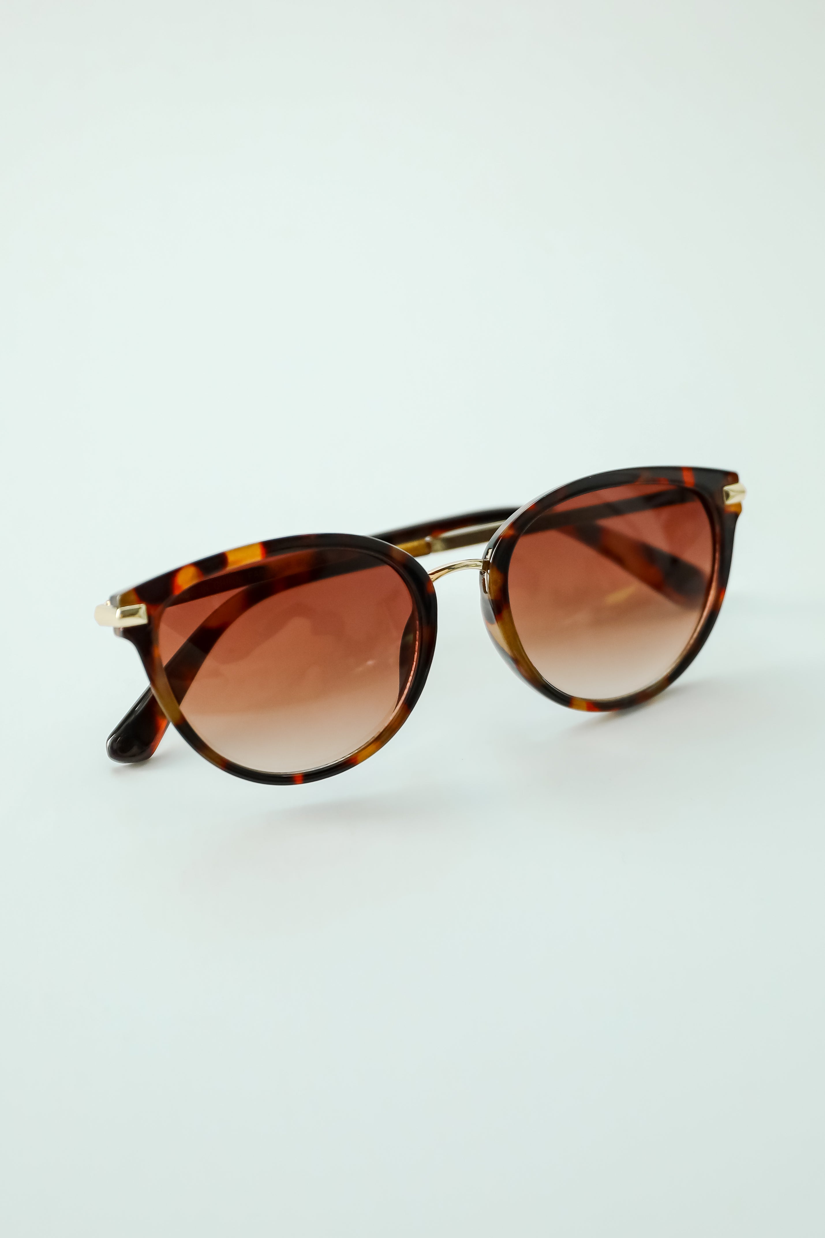 Chic Possibilities Tortoise Round Sunglasses