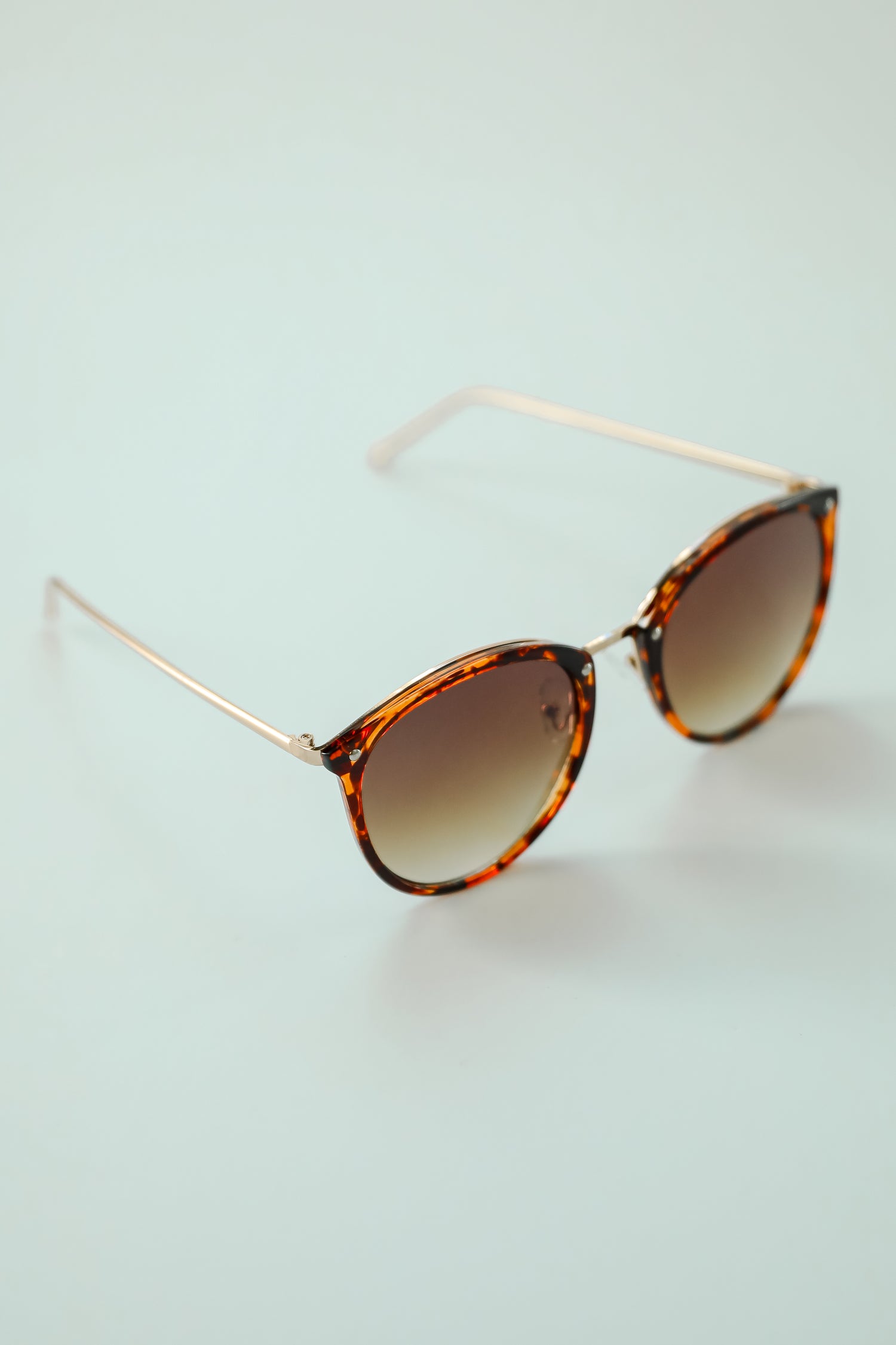 Key Largo Tortoise Round Sunglasses