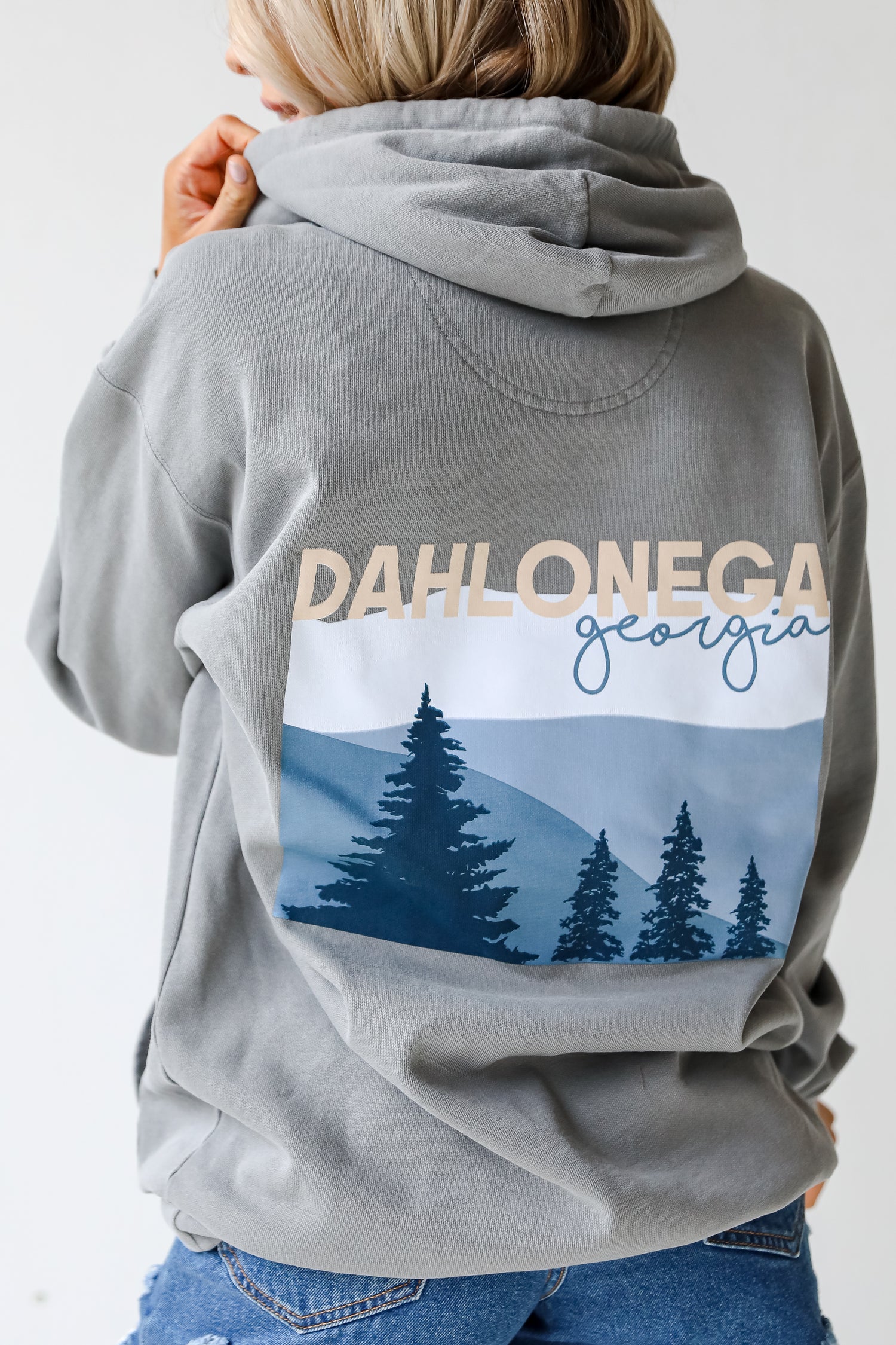 Grey Dahlonega Georgia Mountain Hoodie back view